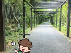 -九龙潭景区