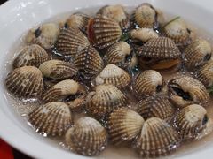 白灼血蛤-长平肥姐白粥·海鲜打冷