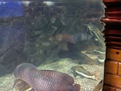 -太平洋海底世界