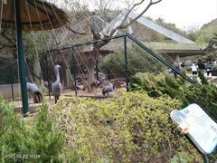 -大连森林动物园