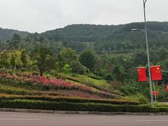 -铁山坪森林公园