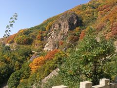 -白草畔自然风景区