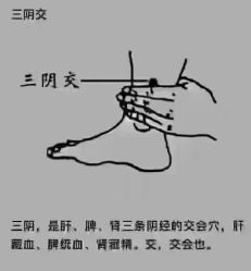 -香薇妮丝·定制减肥·身材管理