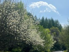 -三块石国家森林公园