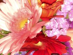 -四季酒店·空中花园 Aria on 9