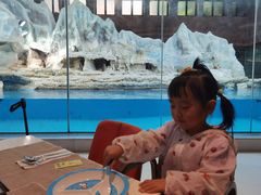 -帝企鹅自助餐厅•儿童岛•真企鹅(长隆企鹅酒店)