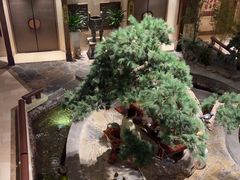 -顺峰(农展馆店)
