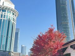 -西北湖绿化广场