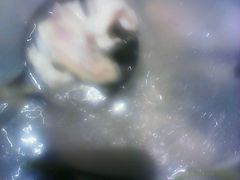 -黔蘑菇四季餐厅(观山湖店)