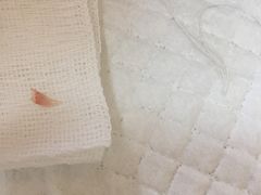 -乐派堂宠物医院·猫友好· 心脏科(东街店)