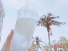 -芜湖新华联大白鲸海洋公园