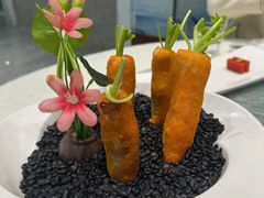-丁老爷子苏香圆