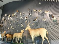 -中国湿地博物馆