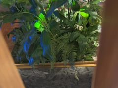 -浅深(北京北四环精品店)