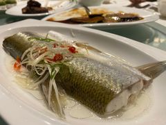 白水鱼-太湖饭店·寄畅轩中餐厅