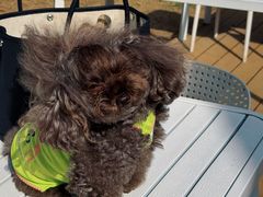 -小意思咖啡店(草桥店)