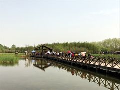 -溱湖国家湿地公园