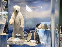 -国家自然博物馆