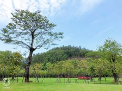 -顺峰山公园