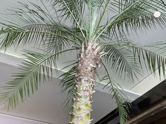 -HFFOUSA TACO弗萨塔可墨西哥餐厅(颐堤港店)
