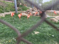 -沈阳森林动物园