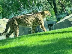 -北京野生动物园