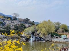 -北京西山国家森林公园