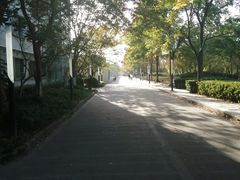 -上海第二工业大学(金海路校区)