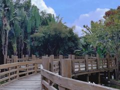 -深圳国际园林花卉博览园