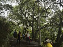 iphone_upload_pic-黄葛古道