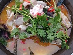 -重庆火锅水库鱼庄(南油店)