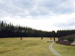 -黄海国家森林公园