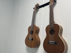 -大象音乐·吉他·架子鼓·声乐(双井店)