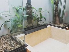 -厦门日月谷温泉渡假村