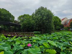 -美兰湖景区