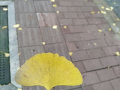 -高庙村(地铁站)