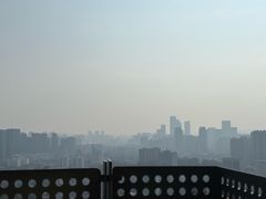 -福道