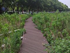 -证大喜玛拉雅中心