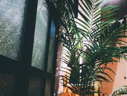 -meland亲子乐园•派对•研学(苏州悠方购物中心店)