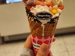 -哈根达斯(西安高新店)