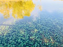 -东郊湿地公园