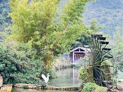 -靖西鹅泉风景区