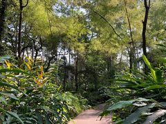 -广西壮族自治区药用植物园