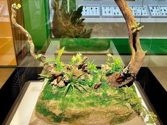 -烟台市博物馆