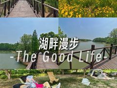 -贡湖湾湿地公园