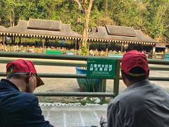 -野象谷景区