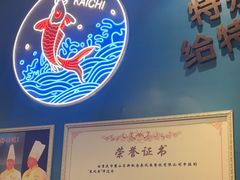 -新概念来凤鱼(璧山店)