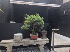 -觀芷隐轩