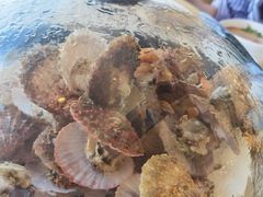-港畔赶海蒸汽海鲜烧烤自助(仙螺岛店)