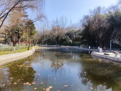 -西安市长乐公园
